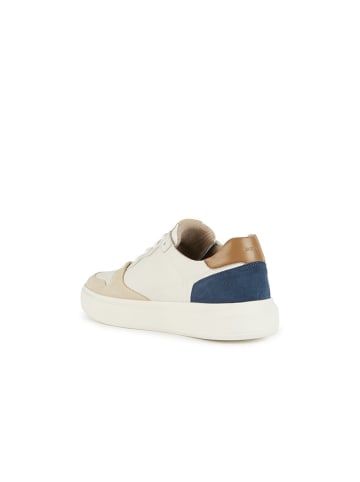 Geox Leder-Sneakers "Deiven" in Weiß/ Beige/ Dunkelblau