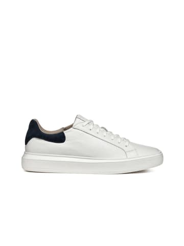 Geox Leder-Sneakers "Deiven" in Weiß/ Dunkelblau