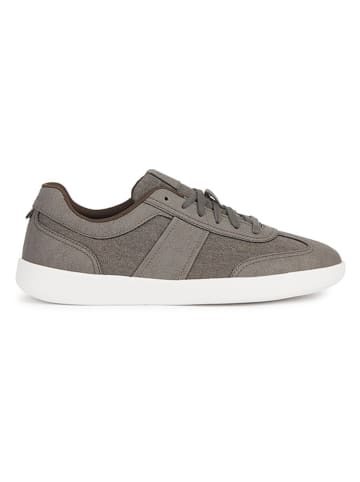 Geox Sneakers "Rieti" in Grau