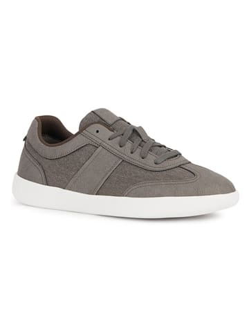 Geox Sneakers "Rieti" in Grau