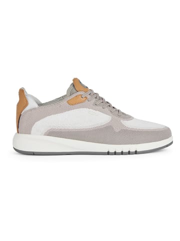 Geox Leder-Sneakers "Aerantis" in Weiß/ Beige