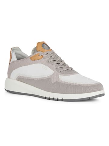 Geox Leder-Sneakers "Aerantis" in Weiß/ Beige