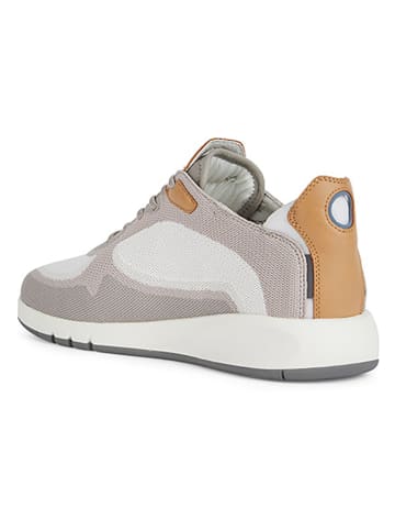Geox Leren sneakers "Aerantis" wit/beige