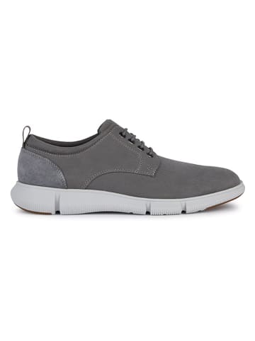 Geox Leder-Sneakers "Adacter" in Grau