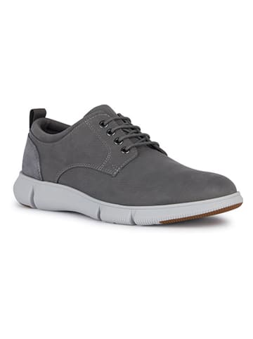 Geox Leder-Sneakers "Adacter" in Grau