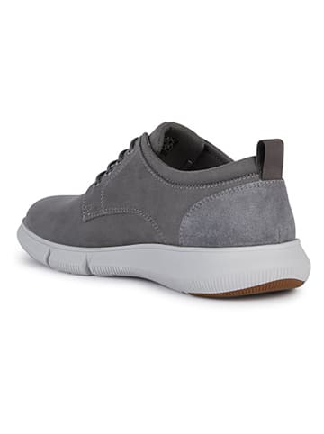 Geox Leder-Sneakers "Adacter" in Grau
