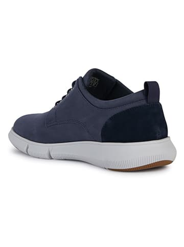 Geox Leren sneakers "Adacter" blauw