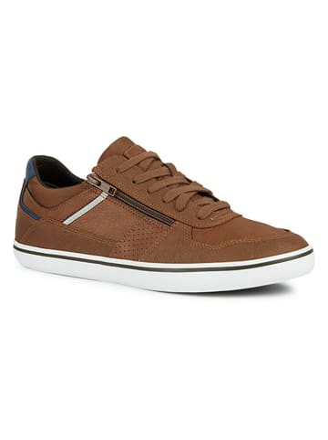 Geox Sneakers "Elver" lichtbruin