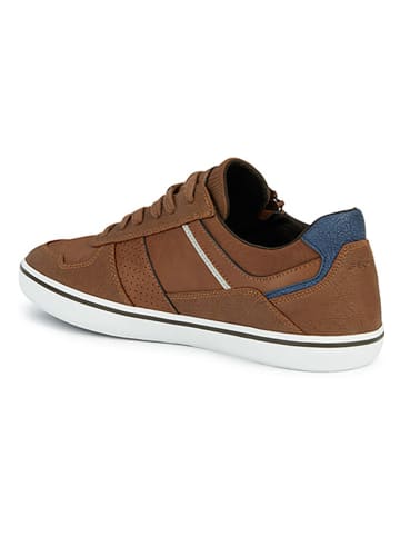 Geox Sneakers "Elver" in Hellbraun