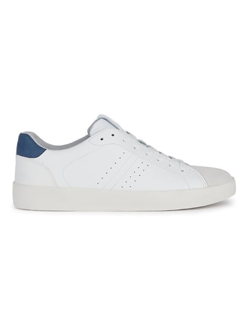 Geox Leder-Sneakers "Affile" in Weiß/ Blau