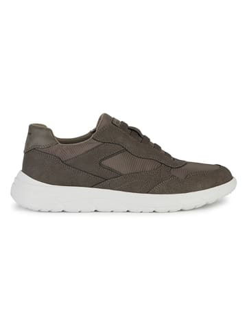 Geox Sneakers "Portello" kaki