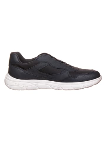 Geox Sneakers "Portello" in Dunkelblau
