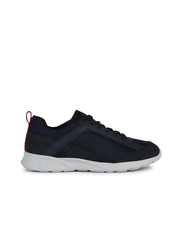 Geox Sneakers "Sanzio" in Schwarz/ Dunkelblau