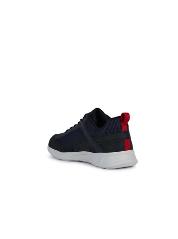Geox Sneakers "Sanzio" in Schwarz/ Dunkelblau