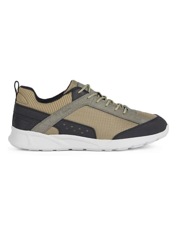 Geox Sneakers "Sanzio" kaki/zwart