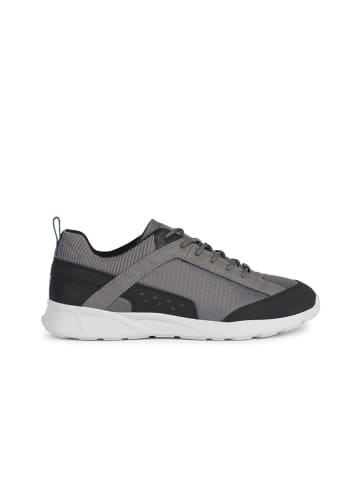 Geox Sneakers "Sanzio" zwart