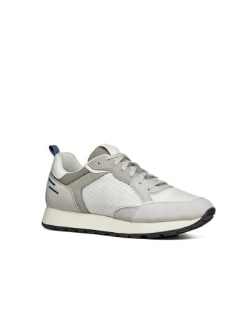 Geox Sneakers "Partenio" in Weiß/ Khaki