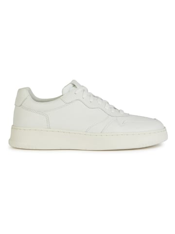Geox Leder-Sneakers "Ariver" in Weiß