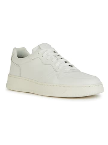 Geox Leder-Sneakers "Ariver" in Weiß