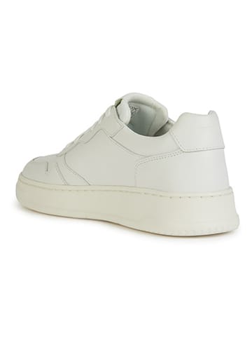 Geox Leder-Sneakers "Ariver" in Weiß
