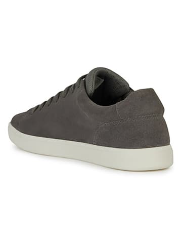 Geox Leren sneakers "Avola" kaki
