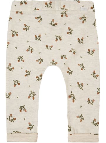 Noppies Sweathose in Creme