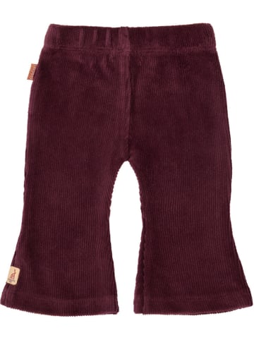 Noppies Leggings "Flora" in Lila