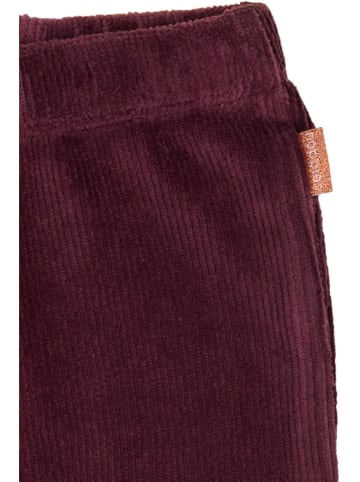 Noppies Legginsy "Flora" w kolorze fioletowym