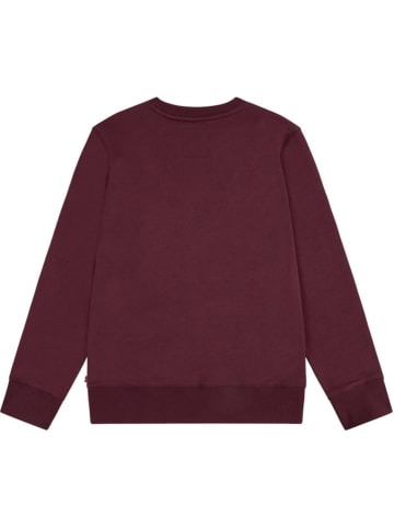Levi's Kids Bluza w kolorze czerwonym