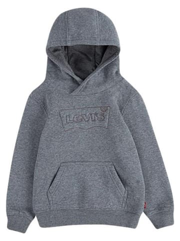 Levi's Kids Hoodie in Grau