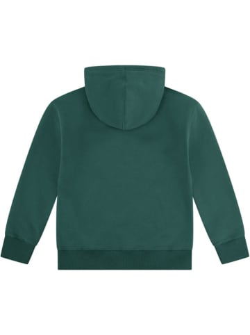 Levi's Kids Hoodie in Grün