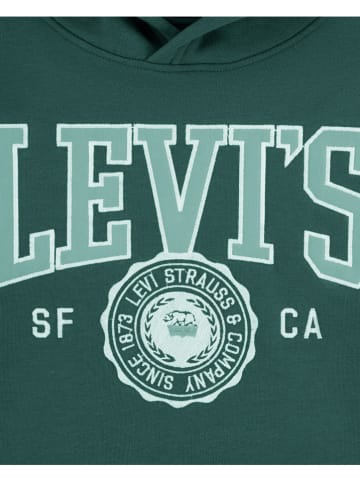 Levi's Kids Hoodie in Grün