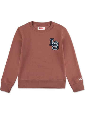 Levi's Kids Sweatshirt in Hellbraun