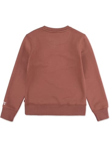 Levi's Kids Sweatshirt in Hellbraun