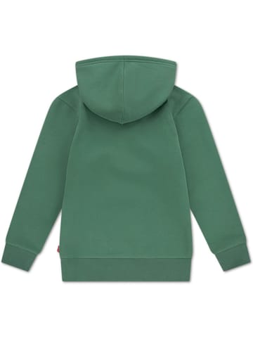 Levi's Kids Hoodie in Grün