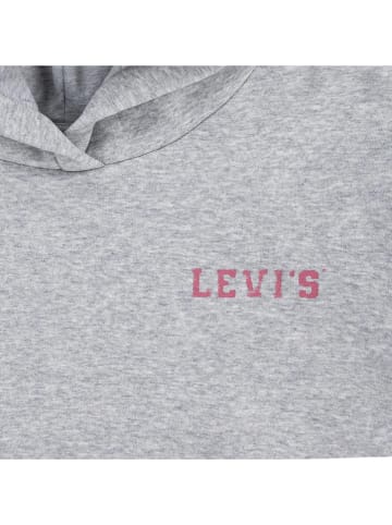 Levi's Kids Hoodie in Grau