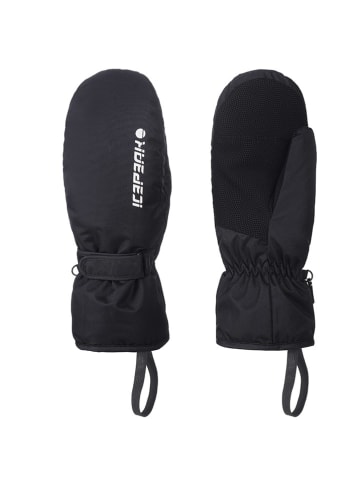 Icepeak Wanten "Haysburg" zwart