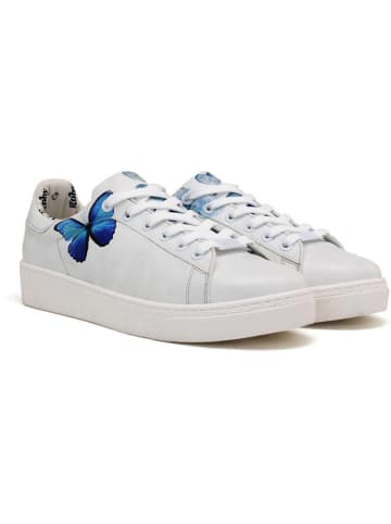Goby Sneakersy w kolorze biało-niebieskim