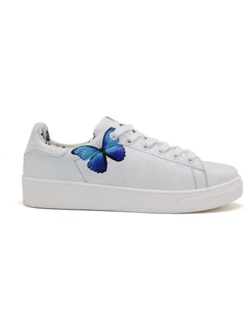 Goby Sneakers in Weiß/ Blau