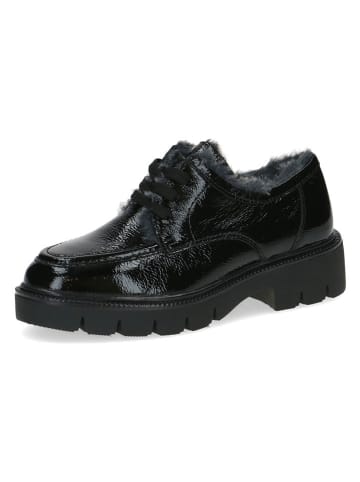 Caprice Leder-Schnürschuhe in Schwarz