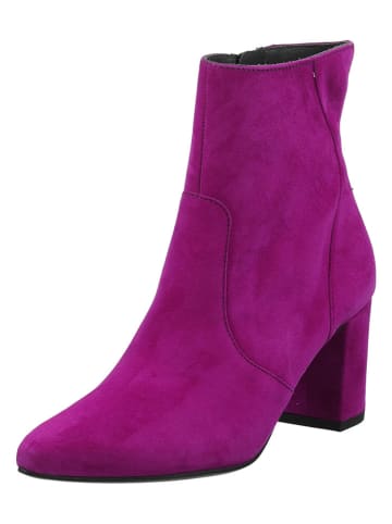 Paul Green Leder-Stiefeletten in Lila