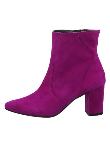 Paul Green Leder-Stiefeletten in Lila