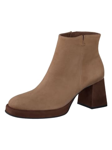 Paul Green Leder-Stiefeletten in Hellbraun