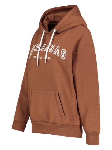 Urban Surface Hoodie lichtbruin
