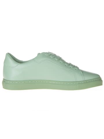 Pangaia Sneakers groen