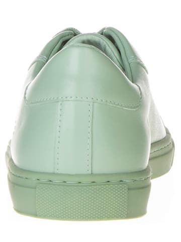 Pangaia Sneakers groen
