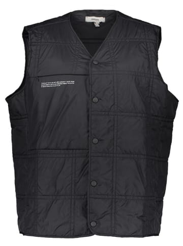 Pangaia Bodywarmer "FLWRDWN" zwart