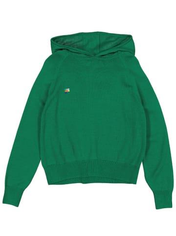 Pangaia Sweter "Merino" w kolorze zielonym
