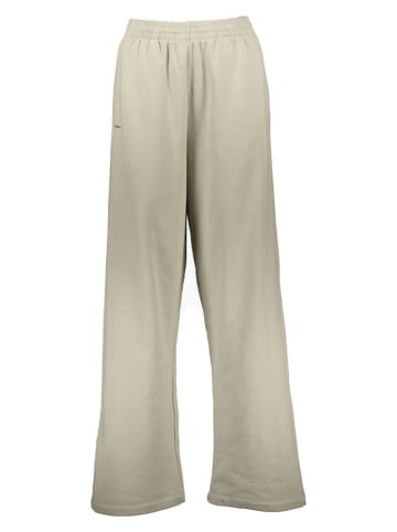 Pangaia Sweathose in Grün