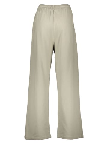 Pangaia Sweathose in Grün